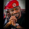bobi Solomon profil fotoฤrafฤฑ
