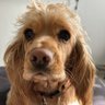 KiefSun's profile picture