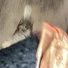 KXZ profil fotoğrafı