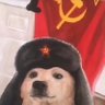 Profilbild von Litchu