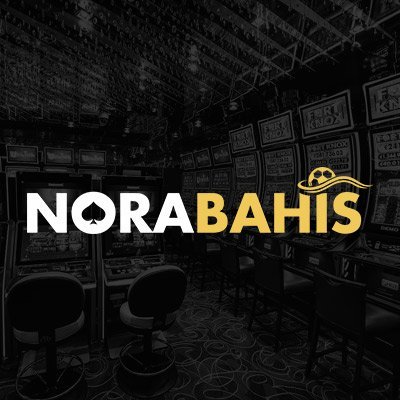 NoraBahis's profile picture