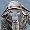 Profilbild von ...