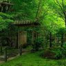mikaial 的头像
