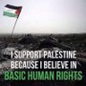 ExtremeN 🇵🇸's profile picture