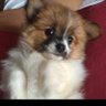 berenice the deaf's profile picture