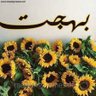 د/بهجت عبدالعزيز 的头像