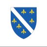 Фото профиля Bosančica