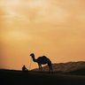 ساري profil fotoğrafı