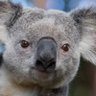 Siph's profile picture