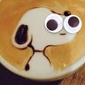 Nicolas's profile picture