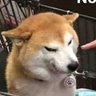 blank's profile picture