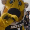 MIZ's profile picture