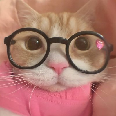 猫にエビ's profile picture