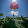 Фото профиля Shivam Fbg