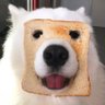 Profilbild von AAA建材王总