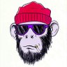 Profilbild von whitenoiz3