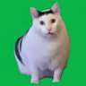 Jet's profile picture