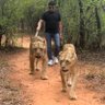 Krishan Choudhary's profile picture