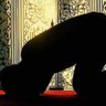 Dja Moussa profil fotoğrafı