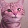 inflatofox's profile picture