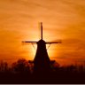 Dutch Mr.V's profile picture