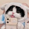 Meng. profil fotoğrafı