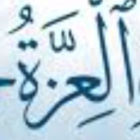 Talbi ghazi Ghazi's profile picture