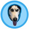 dogwifhood profil fotoğrafı