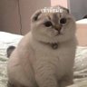 Фото профиля UWU.__-_-