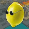 nammyz profil fotoğrafı