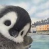 shypub66's profile picture