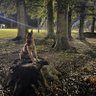 SentinalCWH profil fotoğrafı