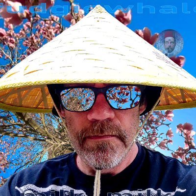 FudgiewhaleArt's profile picture