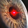 Eye🇺🇲's profile picture