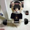 أسامه's profile picture