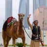 علي.,'s profile picture