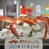 ずわい@株式投資#配当金旅's profile picture