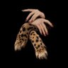 𝚂𝙵𝙸𝙶𝙸𝚃𝙰 🐆. 的头像