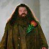 Profilbild von El gordo Hagrid