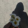 Eminee🌼 profil fotoğrafı