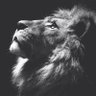 Profilbild von GeeNo_MS