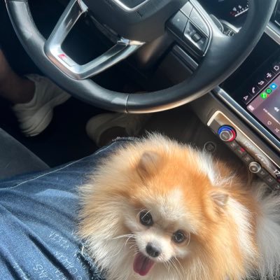SouDeDireitaa's profile picture