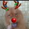 𝐀𝐧𝐲 profil fotoğrafı