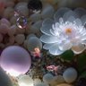 Bea 🌺👊🌺🦂🌺🙂🌺 的头像