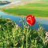 Фото профиля سعدون محسن