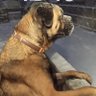 Lad's profile picture