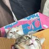 M me profil fotoğrafı