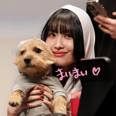 まいまい's profile picture