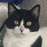 Profilbild von iris