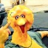 Big Bird profil fotoğrafı
